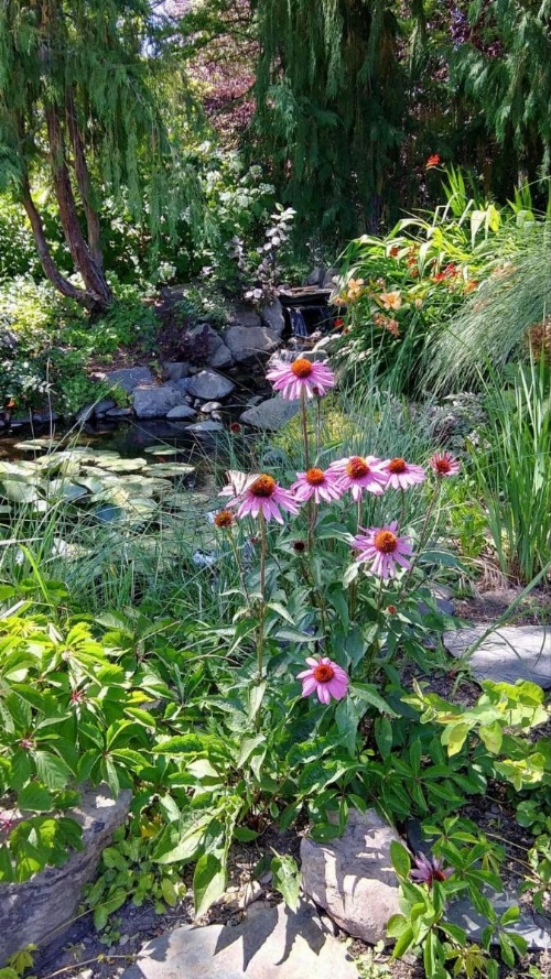 Balch Hotel image 33