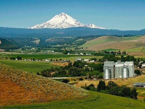 Balch Hotel image 37