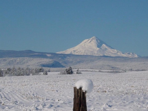 Balch Hotel image 38